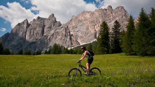 Mountain biking through a Cortina d'Ampezzo meadow.